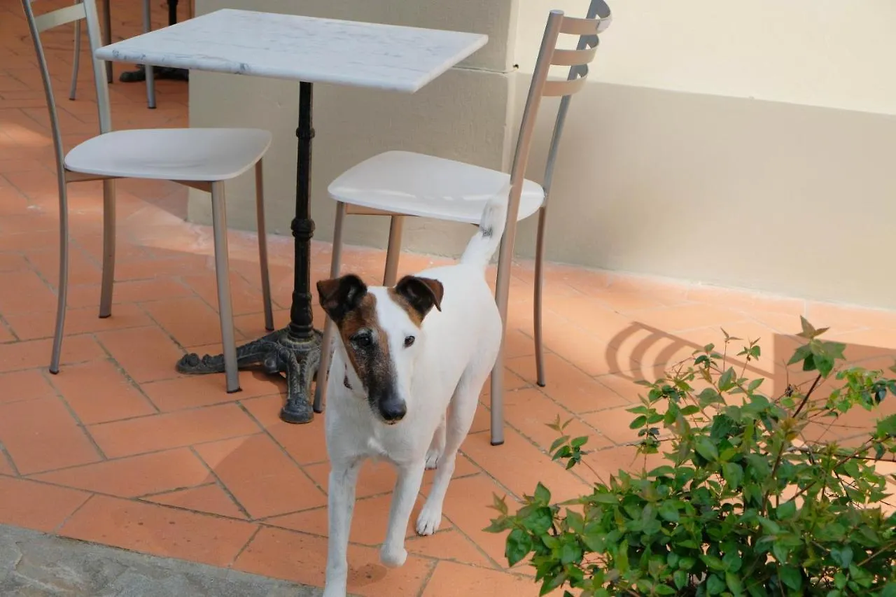 Villa Il Leone Florence Bed & Breakfast